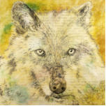The Soul of the Wolf Cries (L'me du loup pleure); ink, oil & wax on panels; 72" x 72" overall